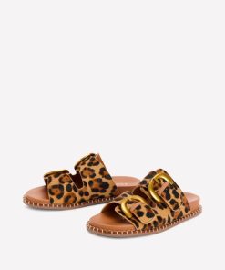 Jeromyhosten.shop07b6c0aabb 3