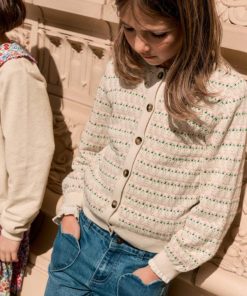 Jeromyhosten.shop87234ce95b 1