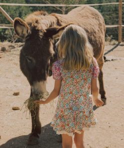 Jeromyhosten.shop8b1f92b5ce 1