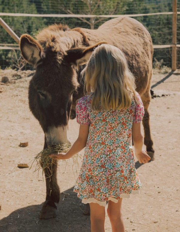 Jeromyhosten.shop8b1f92b5ce 1