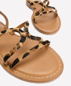 Jeromyhosten.shopa29aaacdc3 4