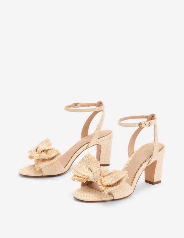 Jeromyhosten.shopa3249164c6 3