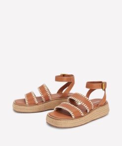 Jeromyhosten.shopab4a86558c 3