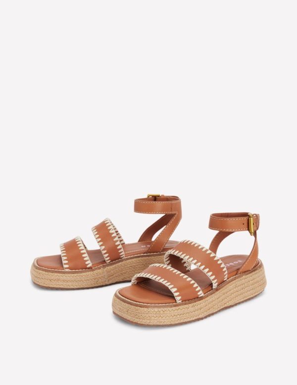 Jeromyhosten.shopab4a86558c 3