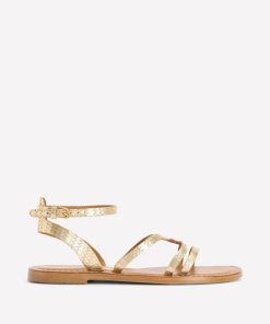 Jeromyhosten.shopc7cc92f968 1